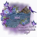 Meowvelous Mel