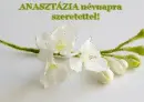 AnasztÃ¡zia