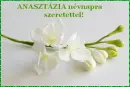 AnasztÃ¡zia