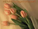 DÃ©nes