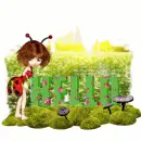 Ladybug- Hello