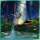The Enchanted Forest