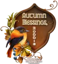 Autumn Blessings - Robbie