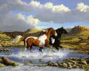 horses