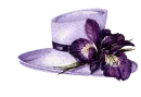 iris flower and purple hat