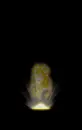 emerging 