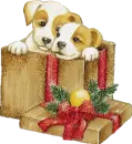 puppy