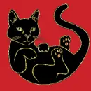 black cat