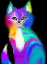 multicolor cat