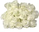 white rosa bouquet