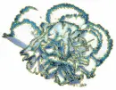 blue striped carnation