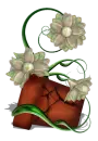 Potted plant