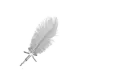 Light Silver Feather Pen