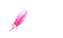 Hottest Pink Feather Pen