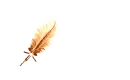 Chocolate Brown Feather Pen