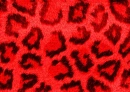 Red Fuzzy Leopard