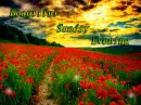 Beautiful Sunday Evening