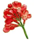 red flowers