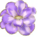 purple flower