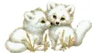 2 little fox