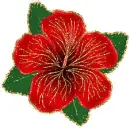 red hibiscus