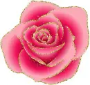 pink rosa