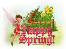 Pink Fairy: Happy Spring