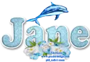 Dolphin and flowers - Jane