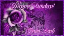 Happy Sunday from Leah