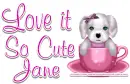 Cute Dog in a Cup - Jane