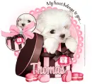 Thomas