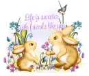 Friends