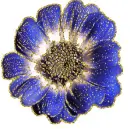 blue flower