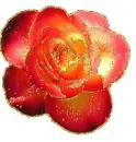 r5ed rosa