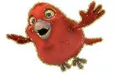 red bird