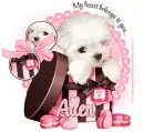 Allen