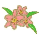 3 lily