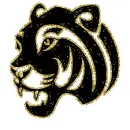 tiger head