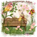 Spring - Jane