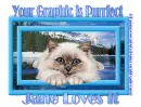 Purrfect - Jane