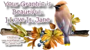 Colorful Bird on a branch - Jane