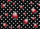 ladybug dots