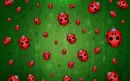 ladybug spring
