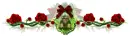 Lady Rose divider