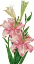 lilies
