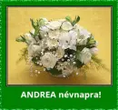 Andrea nameday