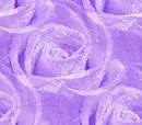 Roses Lite Lavender -Seamless
