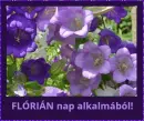FlÃ³riÃ¡n nameday