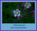 MÃ³nika nameday