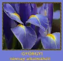 GyÃ¶rgyi nameday